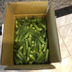 白河小農當季秋葵 產地直送