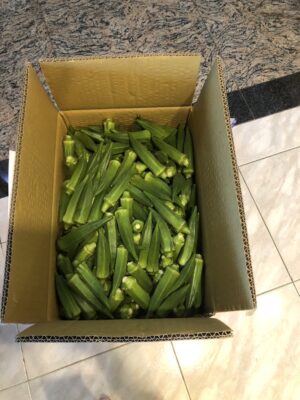 白河小農當季秋葵 產地直送